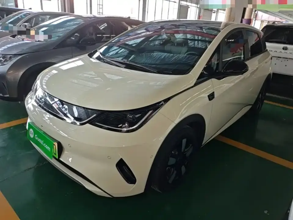 BYD Dolphin Smart Drive Edition 410km Fashion Version 2025