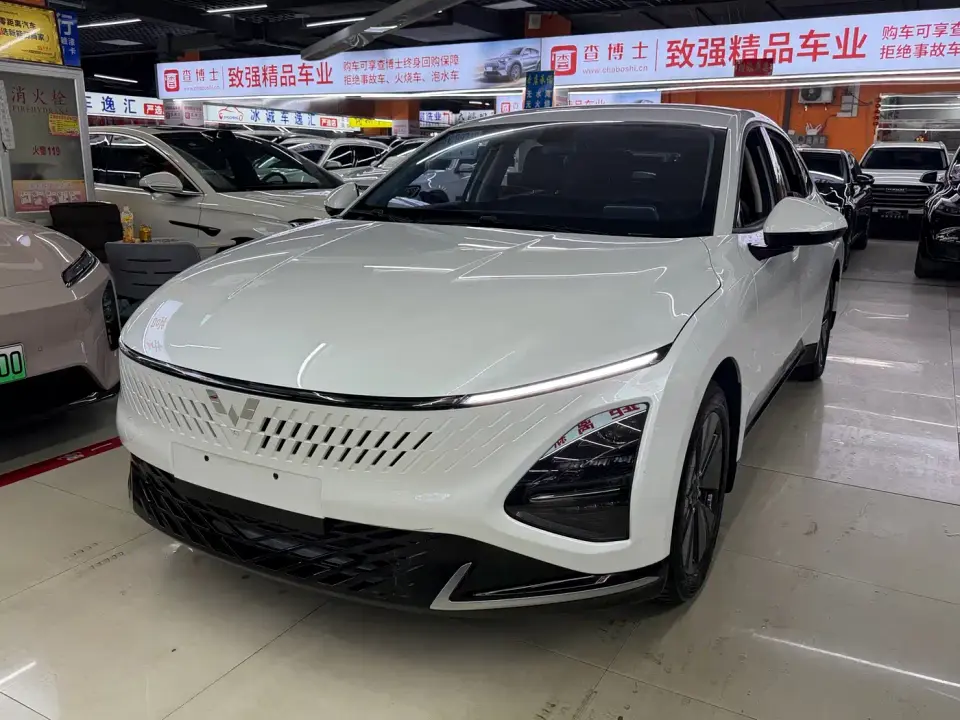 Wuling Motors Wuling Xingguang Co-Creation Edition 150 Standard 2024
