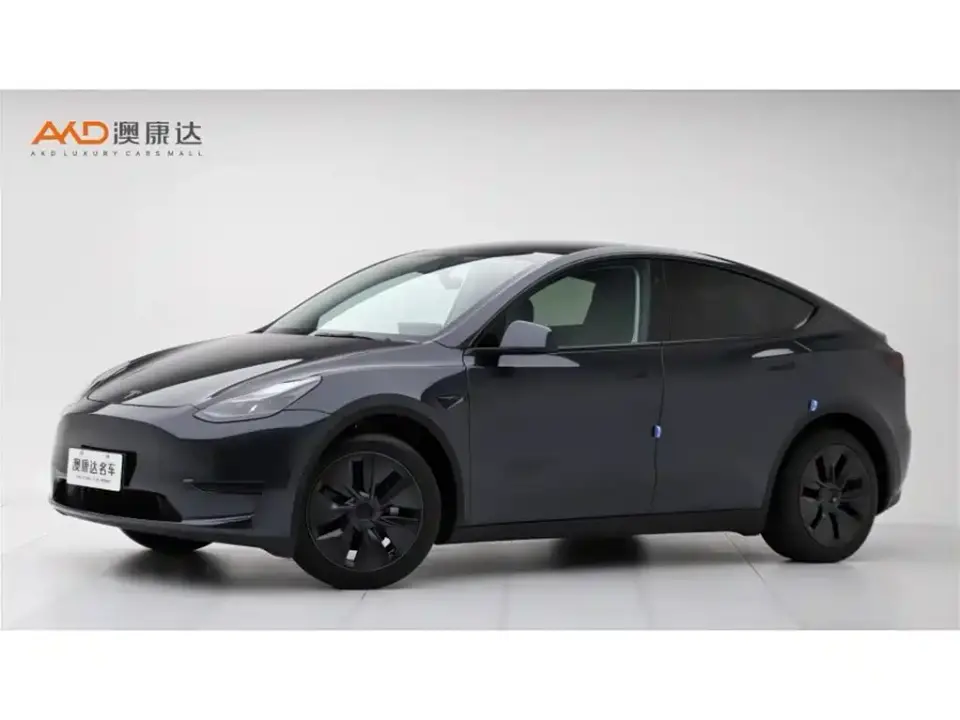 Tesla Model Y Rear-Wheel Drive Version 2024