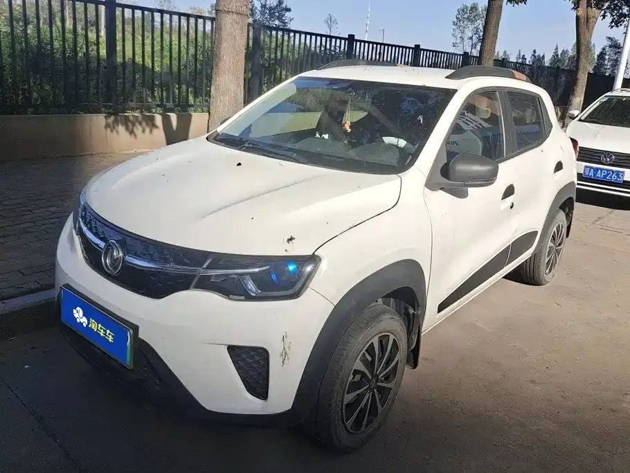 Dongfeng Yipai Dongfeng Nano EX1 Quality Action Edition 2022