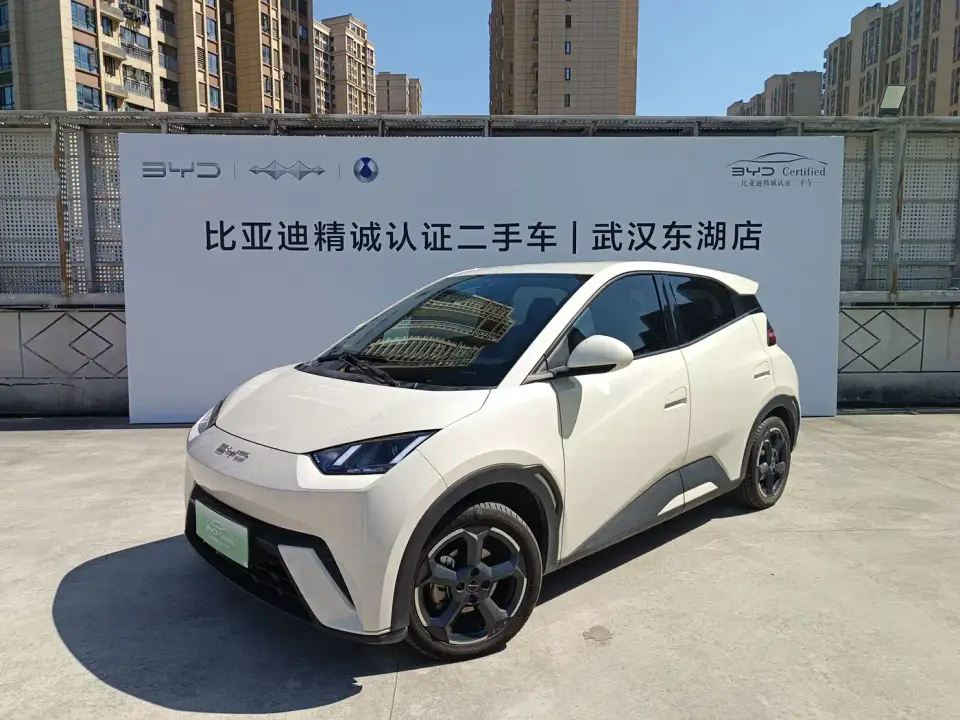 BYD Seagull Freedom Edition 2023