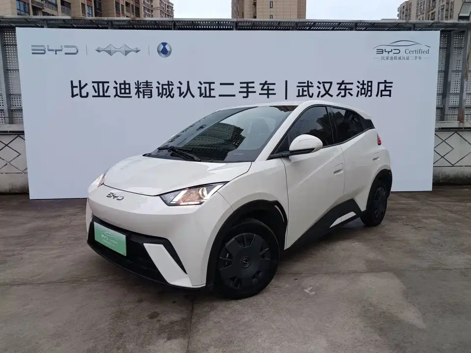 BYD Seagull 305km Vitality 2024