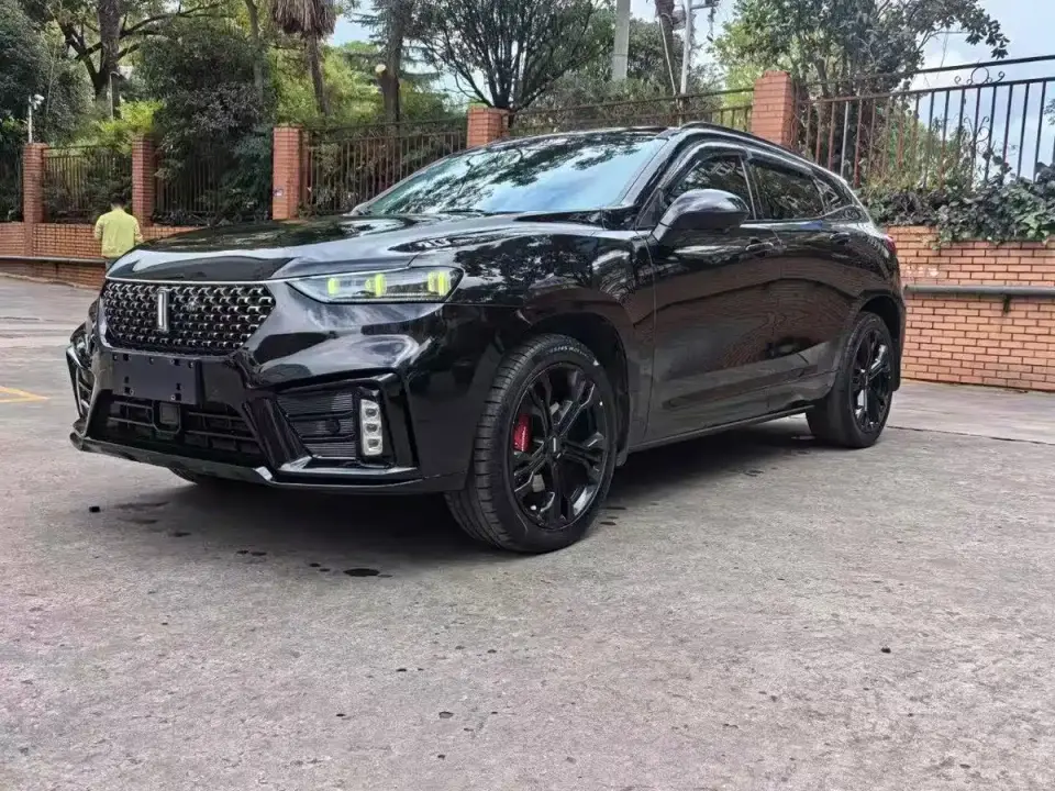Wey VV7 Model 2.0T Flagship 2019