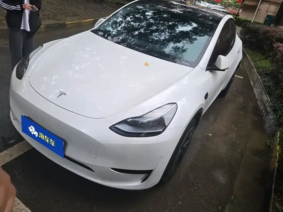 Tesla Model Y Rear-Wheel Drive Version 2024