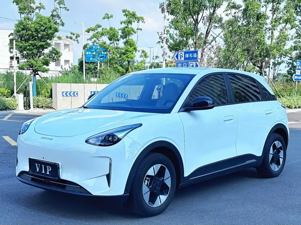 Geely Galaxy Starry Wish 310km Youth Edition 2024