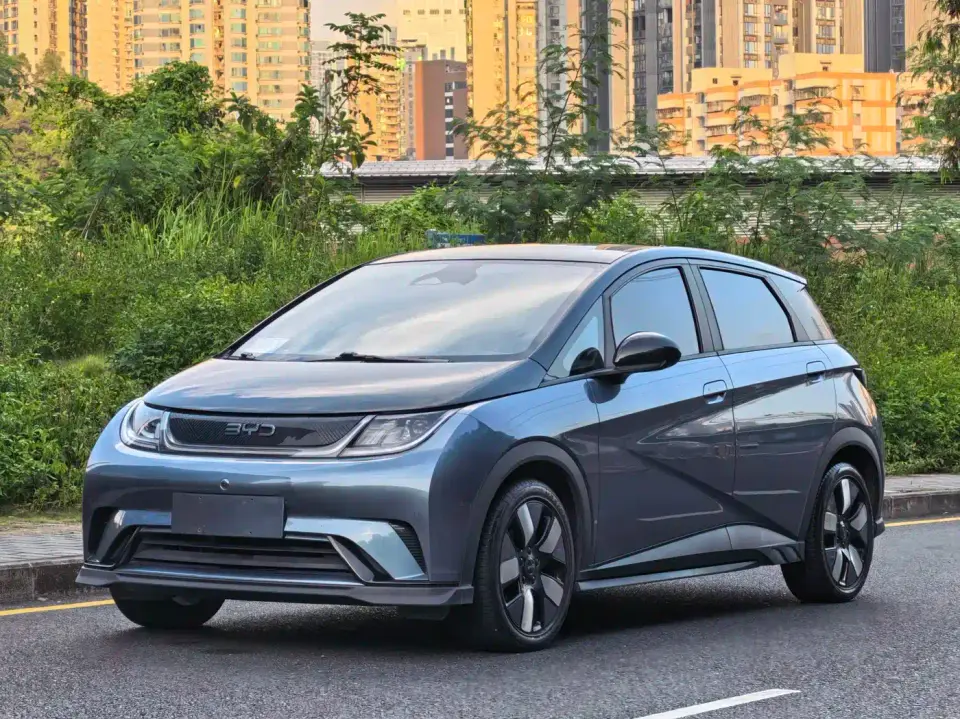 BYD Dolphin Glory Edition 401km Knight Edition 2024