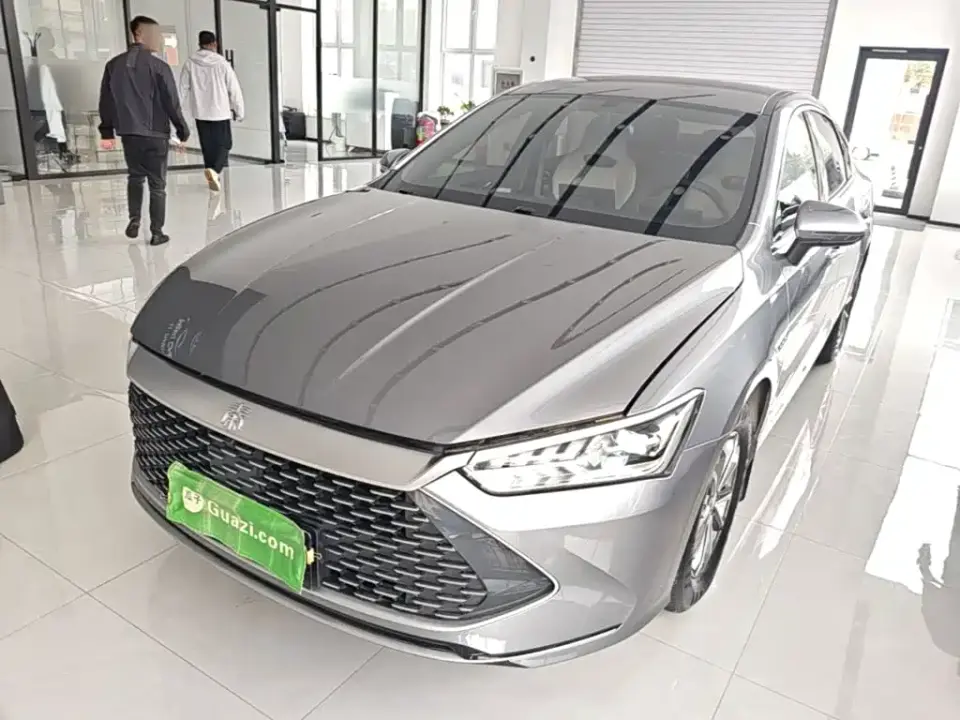 BYD Qin PLUS Glory Edition DM-i 55KM Leading 2024