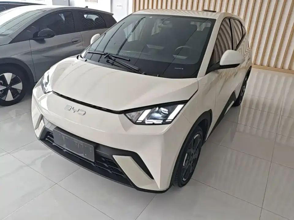 BYD Seagull Glory Edition 305km Freedom Edition 2024