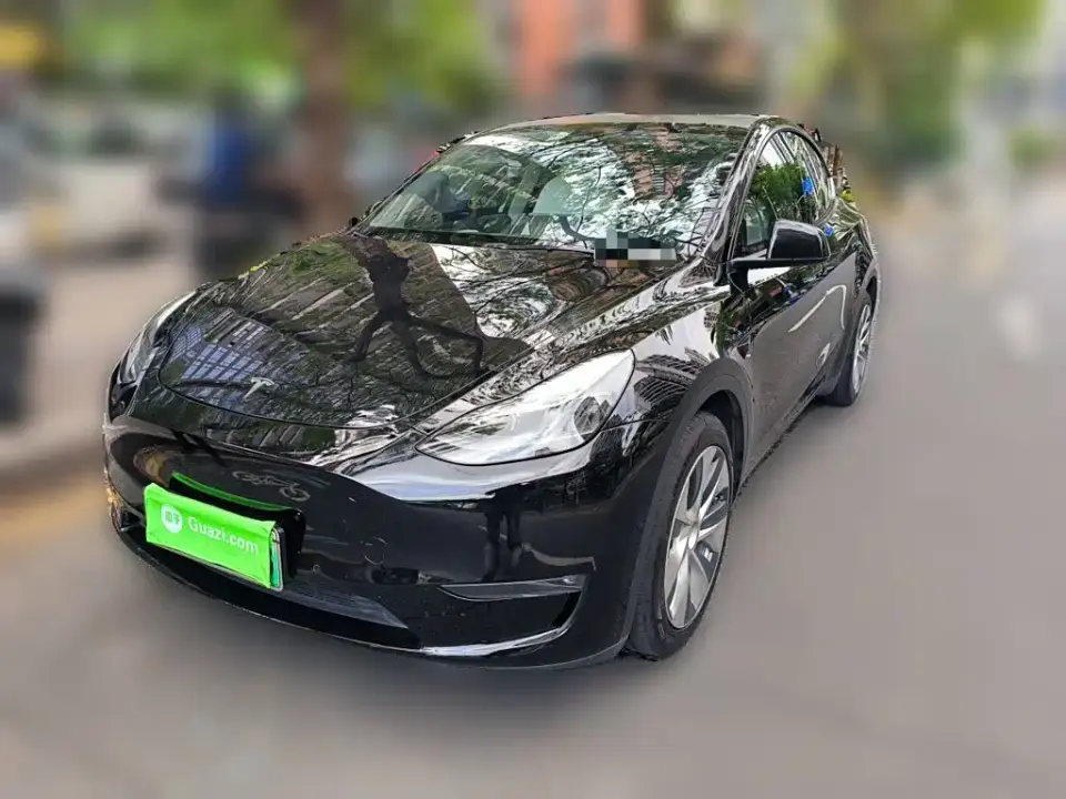 Tesla Model Y Standard Range Rear-Wheel Drive 2021