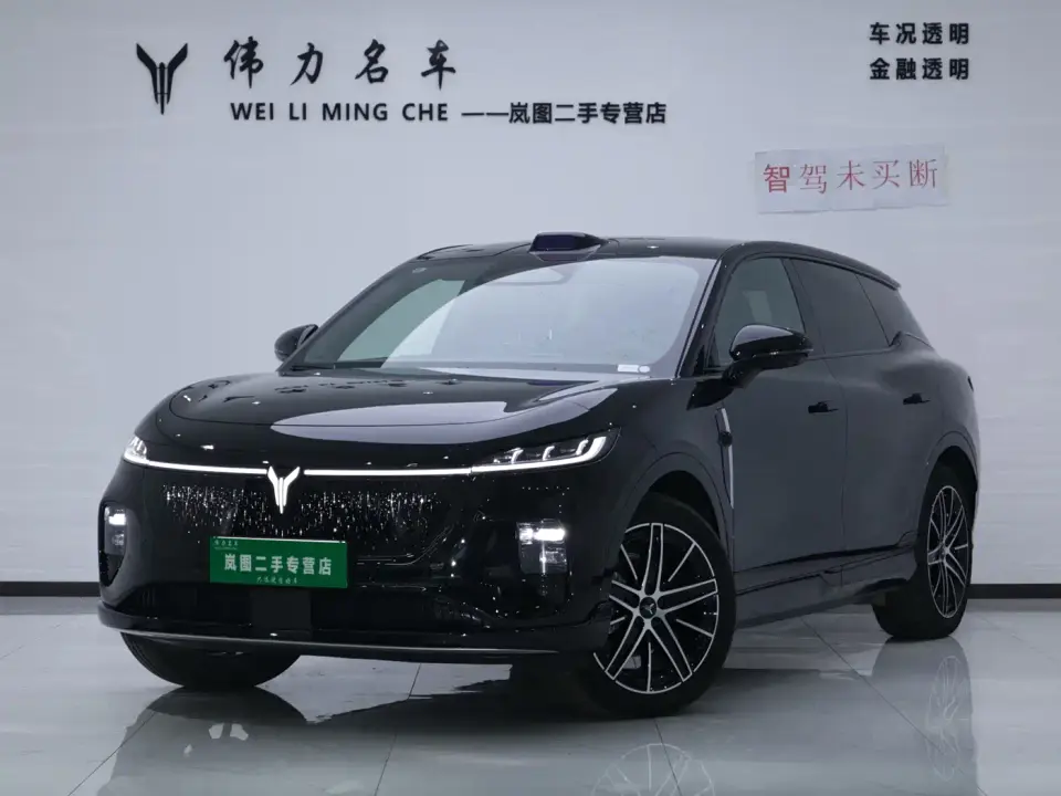 Voyah Auto Voyah Zhiyin Base 2025