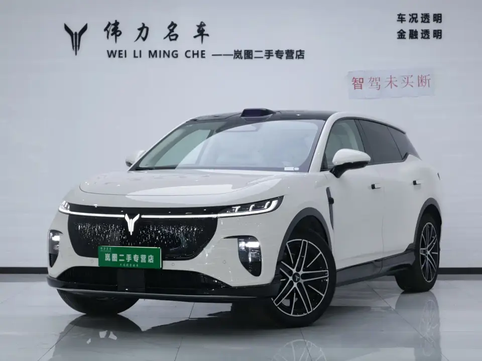 Voyah Auto Voyah Zhiyin Base 2025
