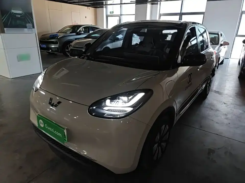 Wuling Motors Wuling Bingo 410km Lingxi Premium Edition 2024