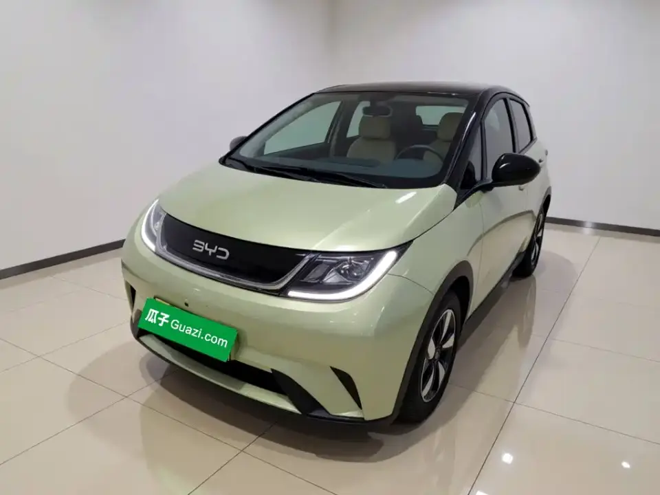 BYD Dolphin 420km Freedom Edition 2026
