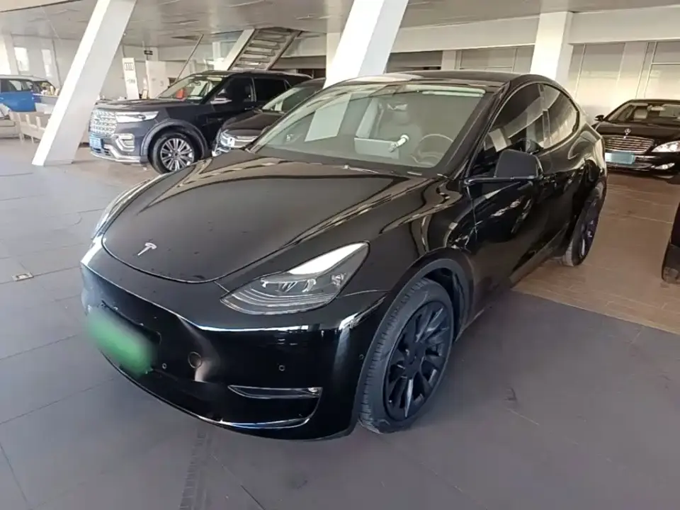 Tesla Model Y Model Long Range AWD 2021