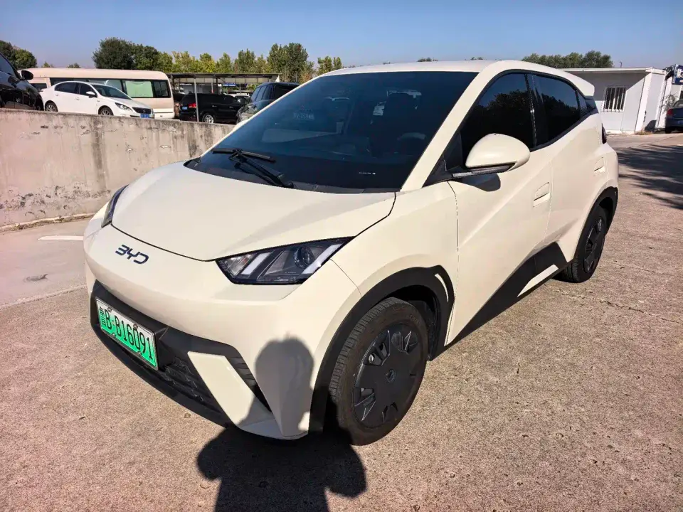 BYD Seagull 305km Vitality 2025