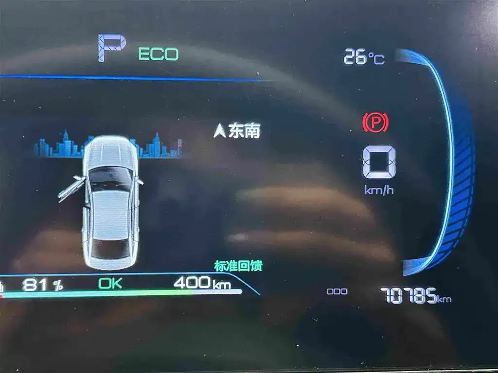 BYD Qin PLUS Champion Edition EV 510KM Premium Type 2024 — фото 16