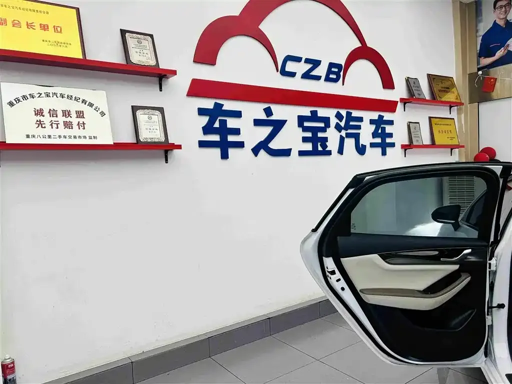 BYD Qin PLUS Champion Edition EV 510KM Premium Type 2024 — фото 24