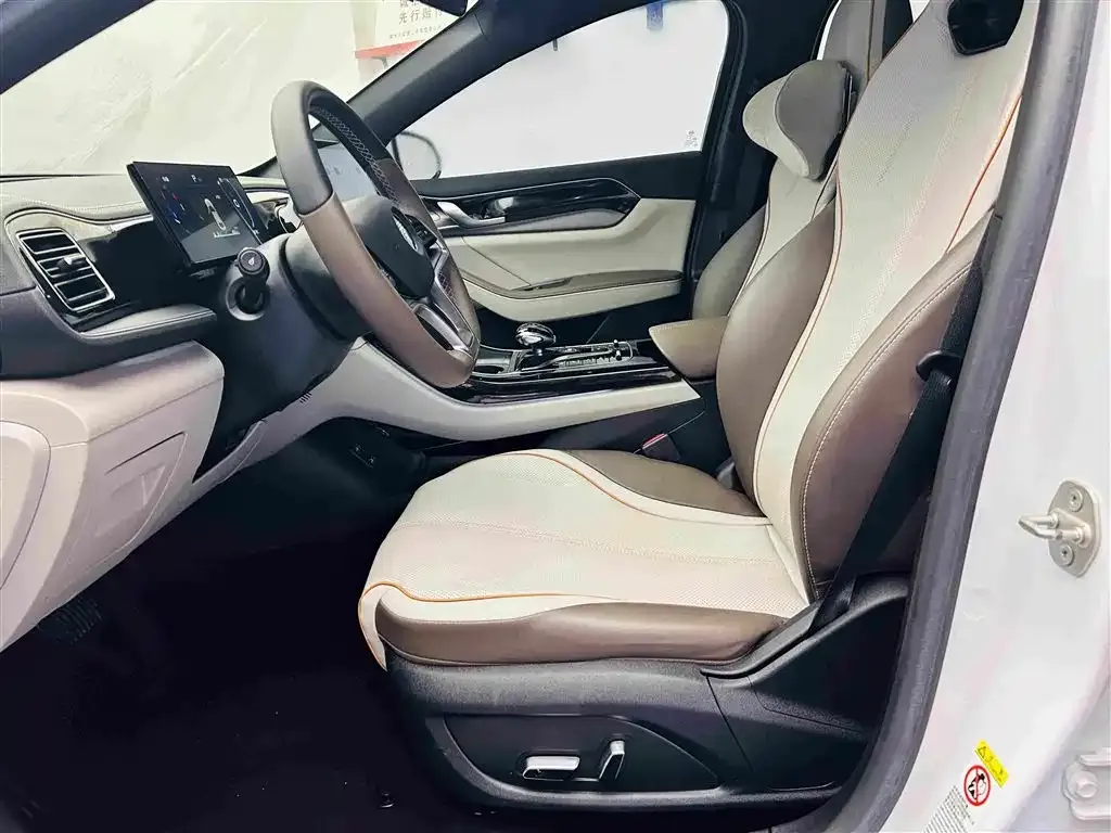 BYD Qin PLUS Champion Edition EV 510KM Premium Type 2024 — фото 19
