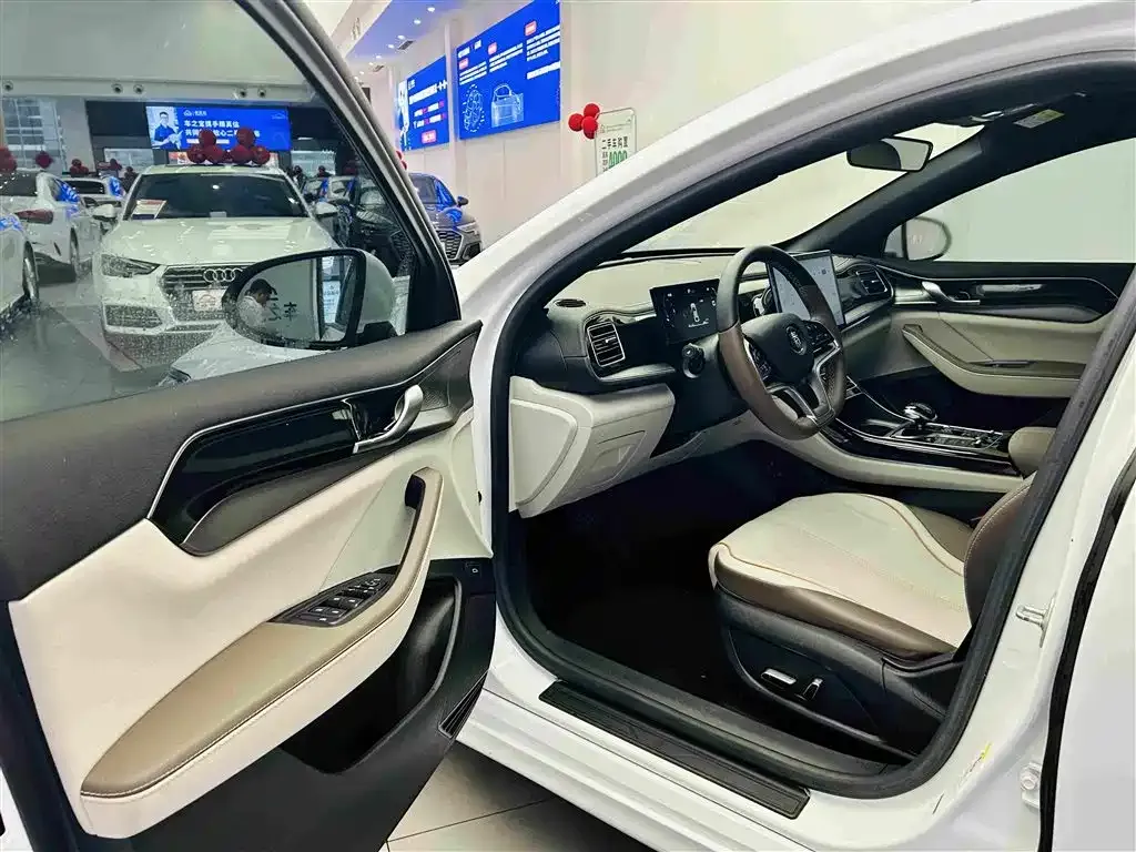 BYD Qin PLUS Champion Edition EV 510KM Premium Type 2024 — фото 20