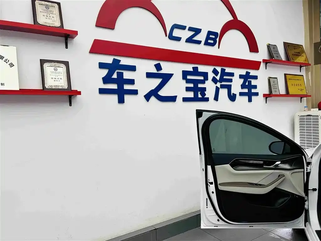 BYD Qin PLUS Champion Edition EV 510KM Premium Type 2024 — фото 21