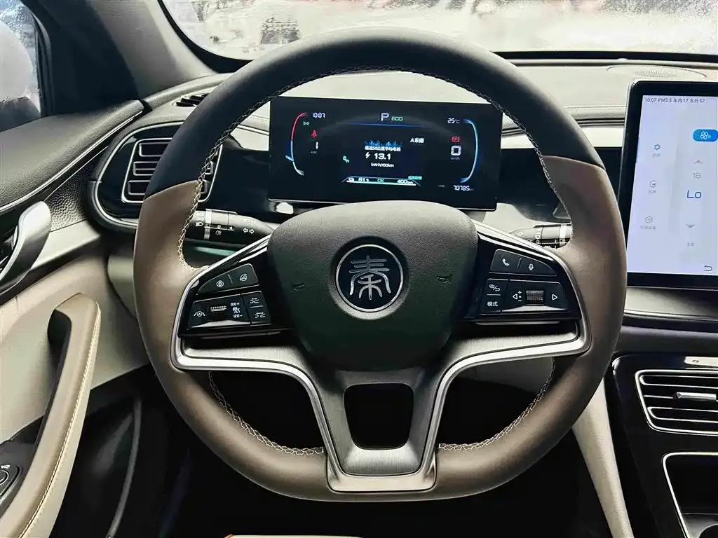 BYD Qin PLUS Champion Edition EV 510KM Premium Type 2024 — фото 15