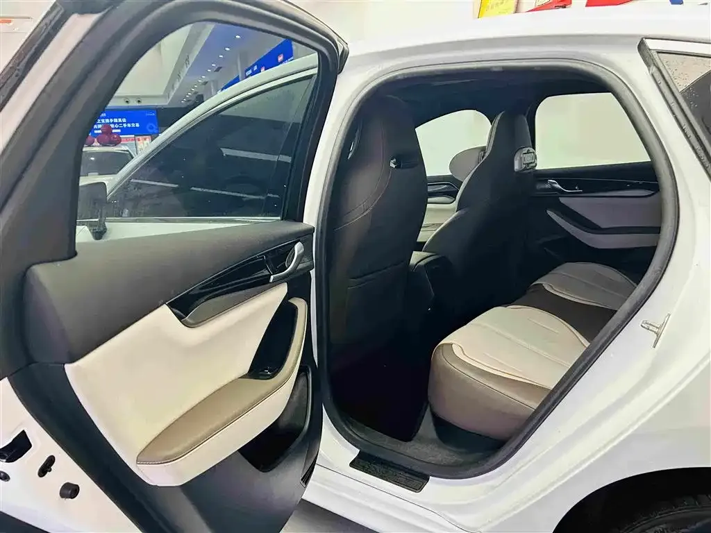BYD Qin PLUS Champion Edition EV 510KM Premium Type 2024 — фото 23