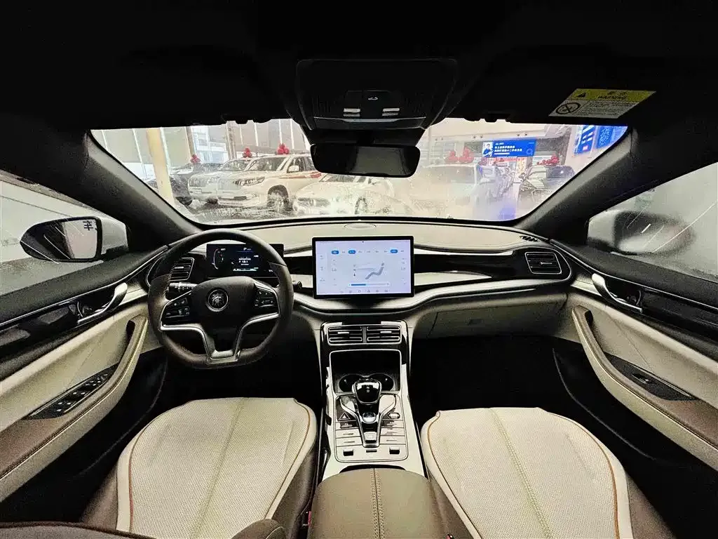 BYD Qin PLUS Champion Edition EV 510KM Premium Type 2024 — фото 14