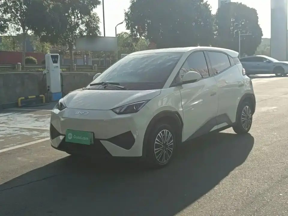 BYD Seagull Smart Drive Edition 305km Vitality Version 2025
