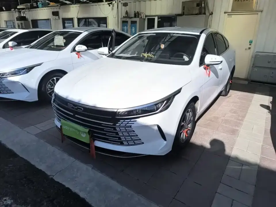 BYD Destroyer 05 Glory Edition DM-i 55KM Luxury 2024