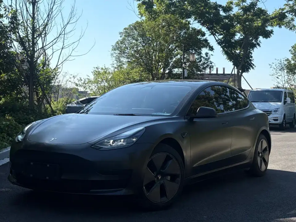Tesla Model 3 Standard Range Rear-Wheel Drive Upgrade 3D6 2021