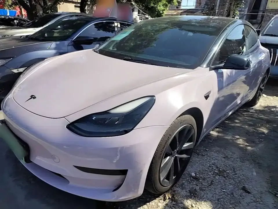 Tesla Model 3 Standard Range Rear-Wheel Drive Upgrade 3D6 2021