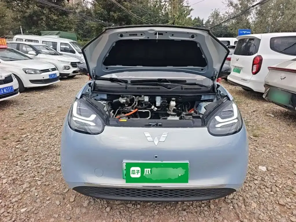 Wuling Motors Wuling Bingo Model 333km Smart Premium 2025 — фото 20