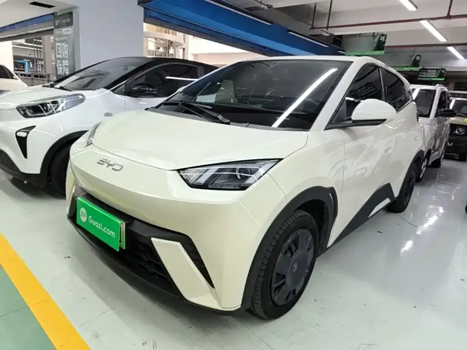 BYD Seagull Glory Edition 305km Vitality Edition 2024