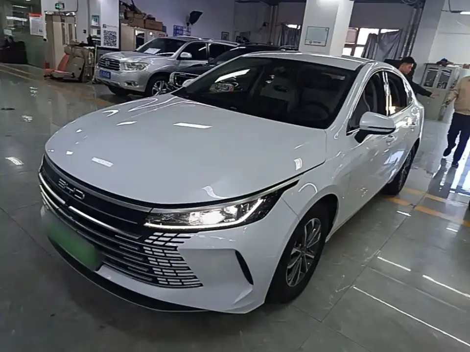 BYD Destroyer 05 Glory Edition DM-i 55KM Luxury 2024