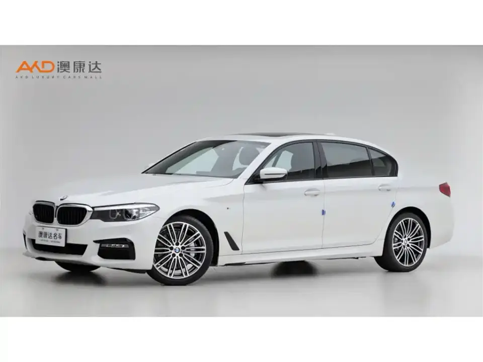 BMW 5 Series 530Li Leading M Sport Package 2019
