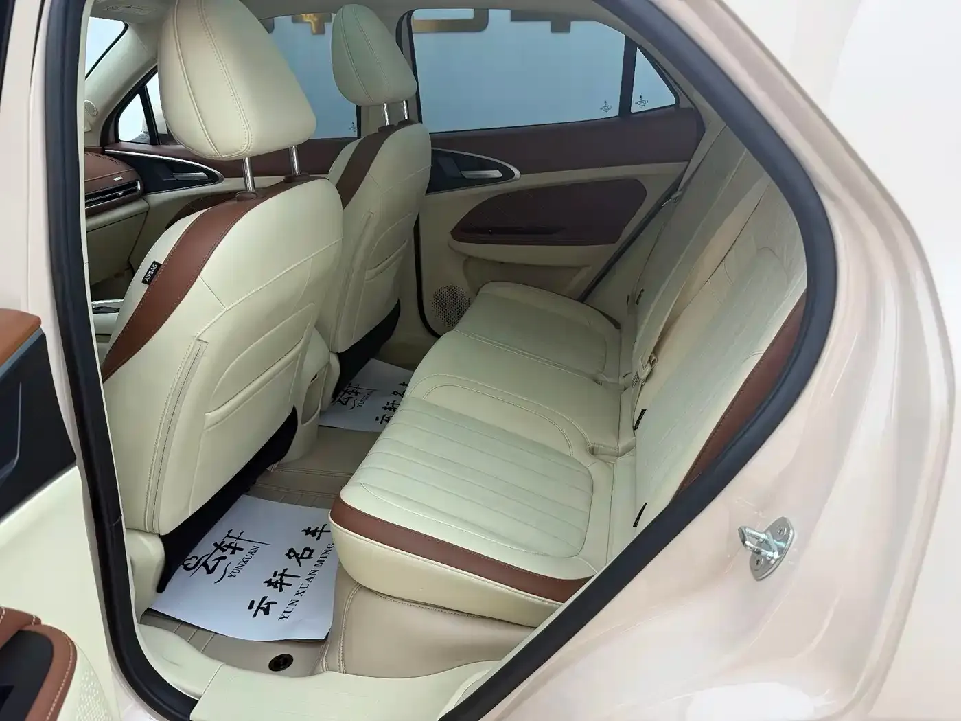 ORA Good Cat 401km Standard Range Honor Edition (LFP) 2023 — фото 17