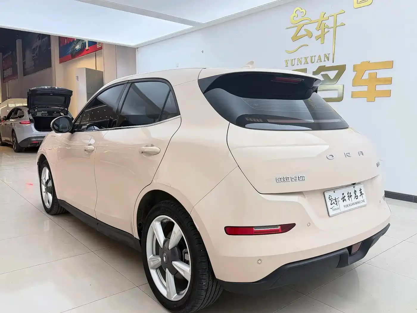 ORA Good Cat 401km Standard Range Honor Edition (LFP) 2023 — фото 10