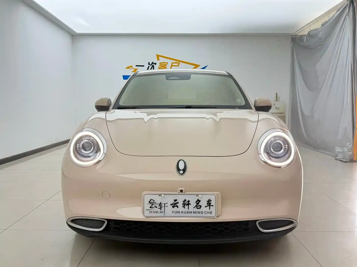 ORA Good Cat 401km Standard Range Honor Edition (LFP) 2023 — фото 2