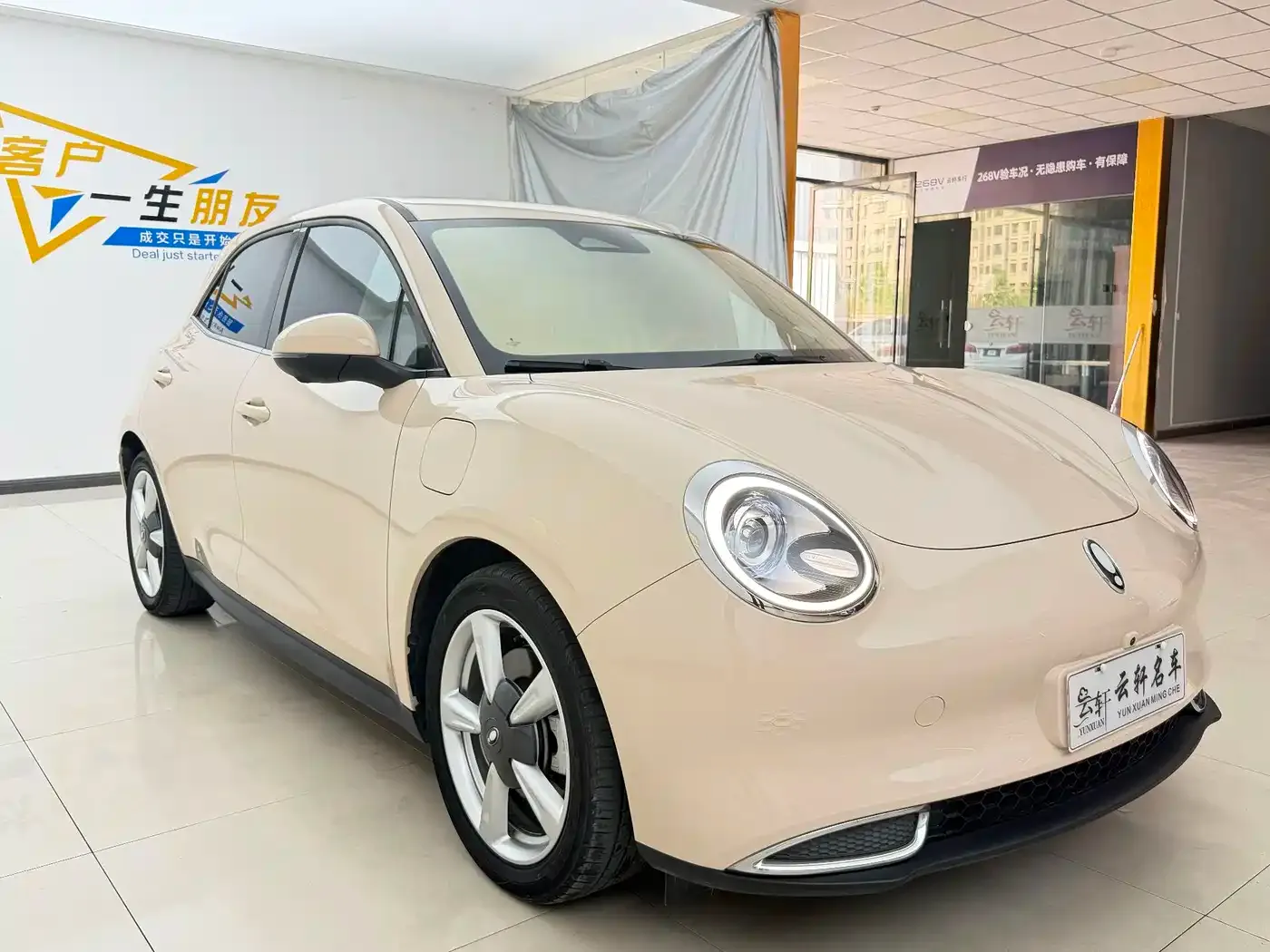 ORA Good Cat 401km Standard Range Honor Edition (LFP) 2023 — фото 11