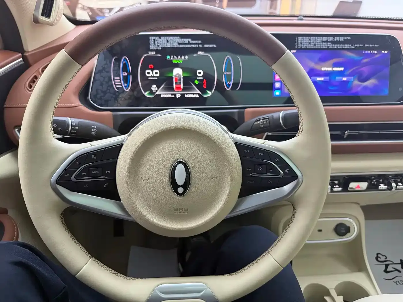 ORA Good Cat 401km Standard Range Honor Edition (LFP) 2023 — фото 20
