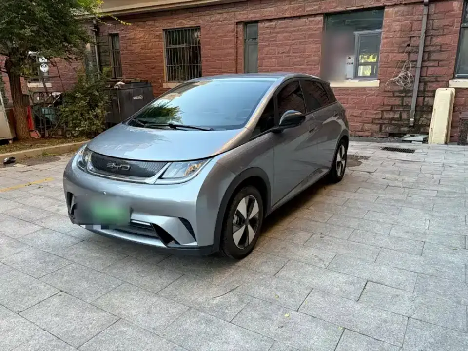 BYD Dolphin 420km Freedom Edition 2024