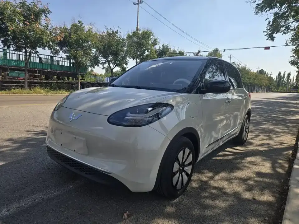 Wuling Motors Wuling Bingo 333km Smart Connect Edition 2024