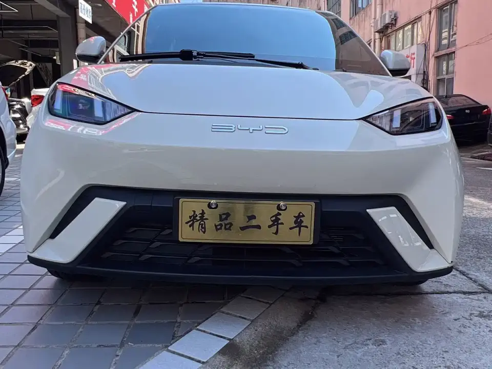 BYD Seagull Freedom Edition 2024
