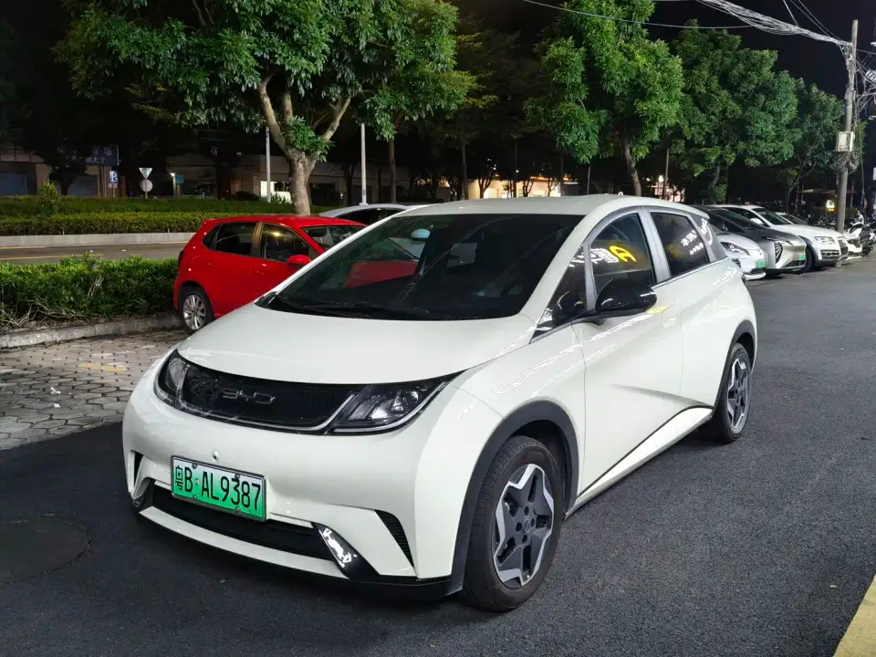 BYD Dolphin 405km Freedom Edition 2022