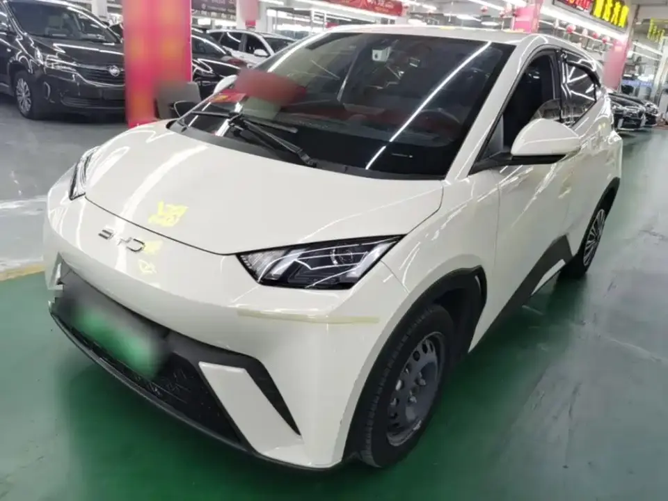 BYD Seagull Glory Edition 305km Vitality Edition 2024