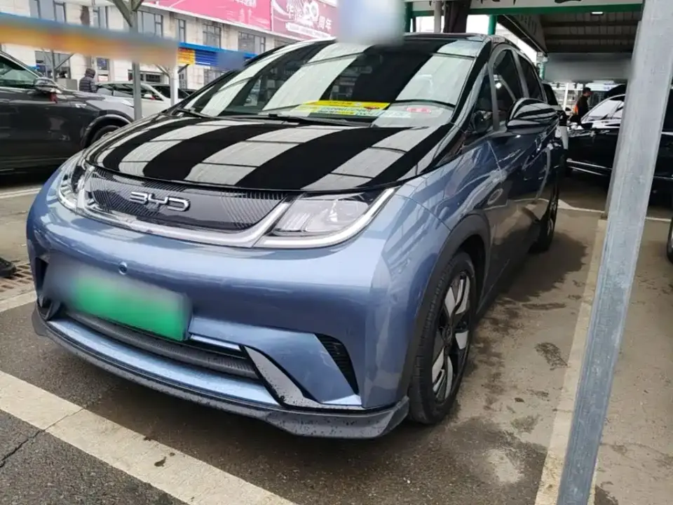 BYD Dolphin 401km Knight Edition 2023