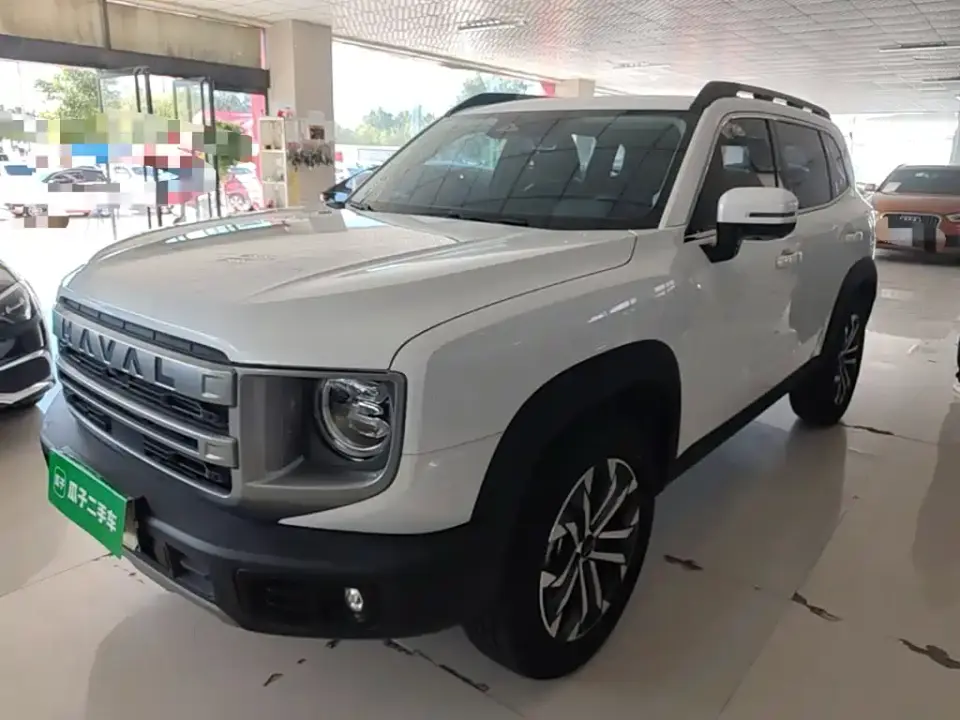 Haval Big Dog 1.5T DCT Border Collie Edition 2024