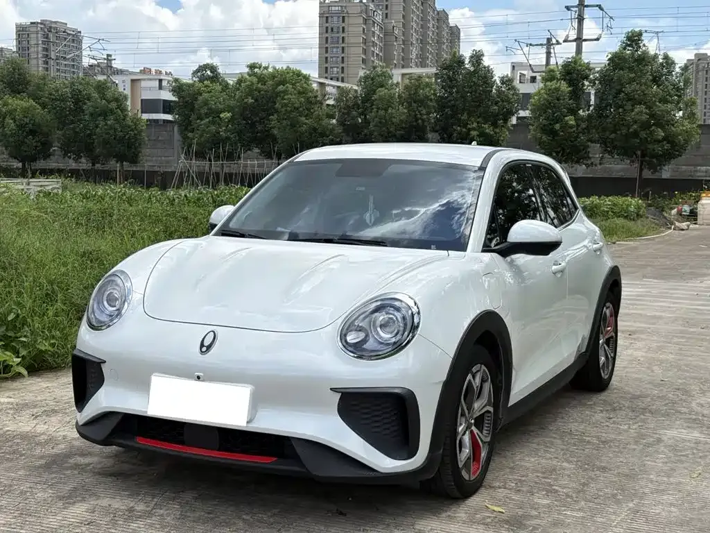 ORA Good Cat GT Mulan Edition 401km Luxury 2024