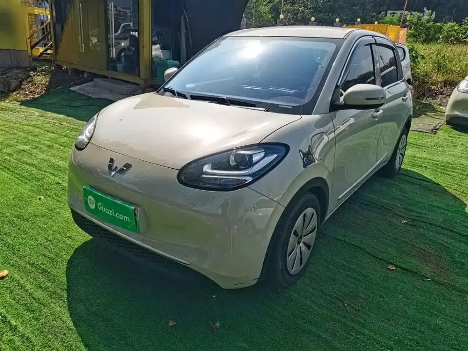 Wuling Motors Wuling Bingo 333km Quick Enjoy Version 2024