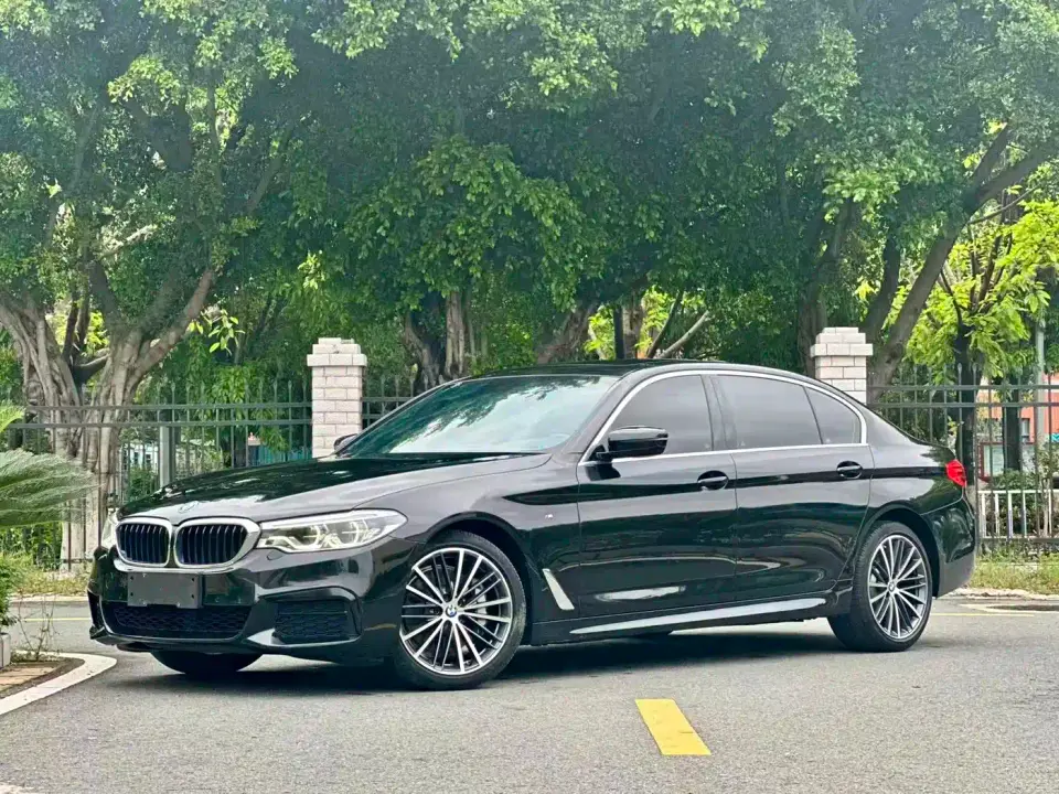 BMW 5 Series 530Li Leading M Sport Package 2020